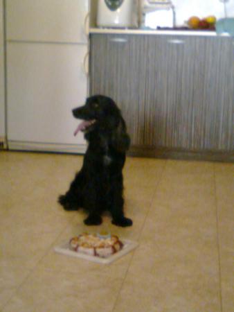 Прикачена снимка