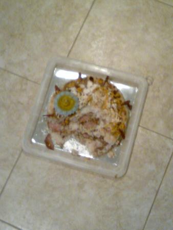 Прикачена снимка