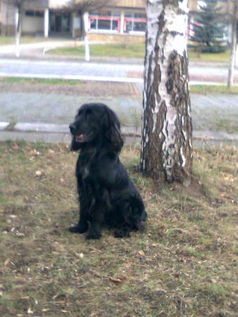 Прикачена снимка