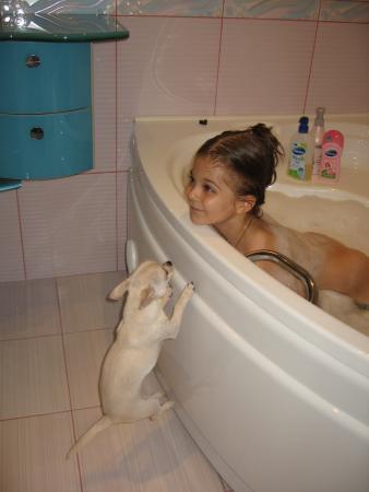 Прикачена снимка