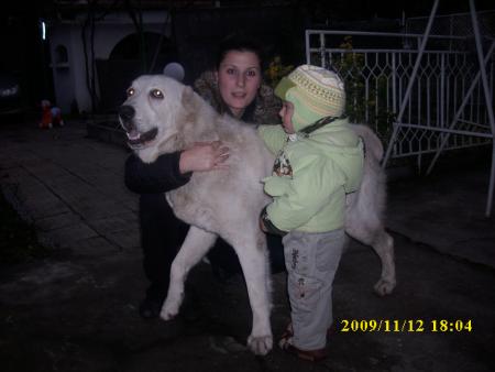 Прикачена снимка