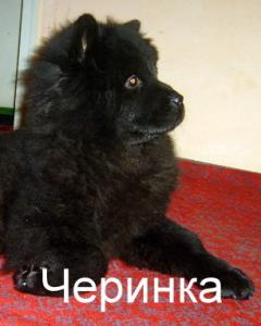 Прикачена снимка