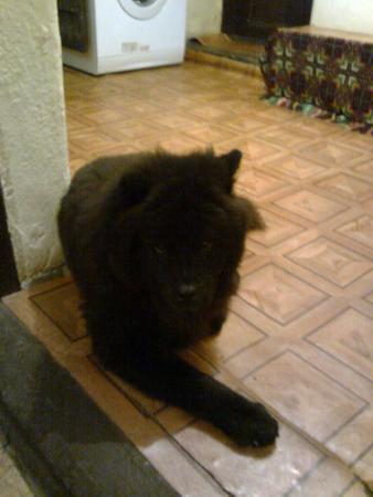 Прикачена снимка
