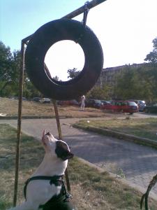Прикачена снимка