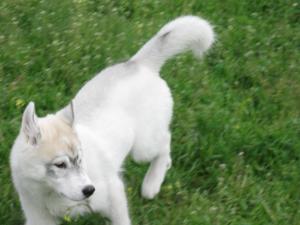 Прикачена снимка