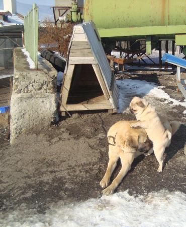 Прикачена снимка