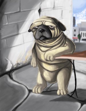 Прикачена снимка