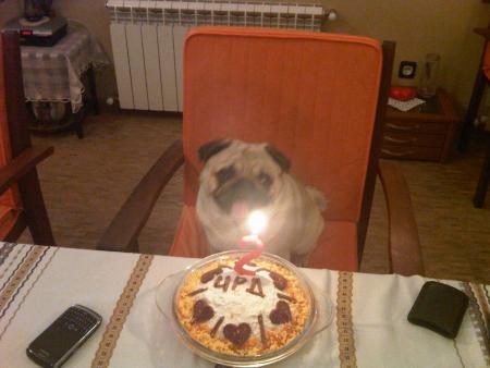 Прикачена снимка