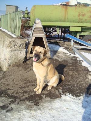 Прикачена снимка
