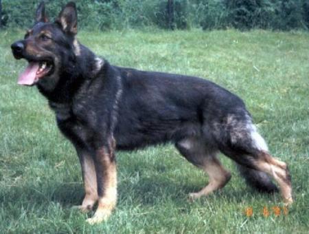 Прикачена снимка