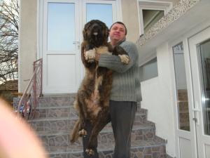 Прикачена снимка