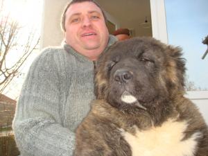 Прикачена снимка