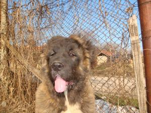 Прикачена снимка