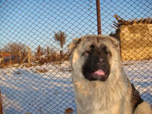 Прикачена снимка