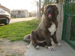 Прикачена снимка