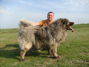 Прикачена снимка