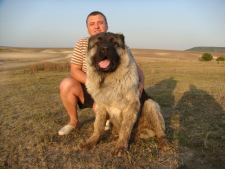 Прикачена снимка