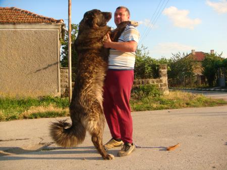 Прикачена снимка