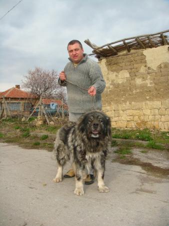 Прикачена снимка