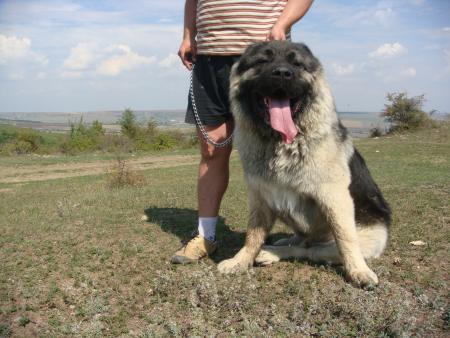 Прикачена снимка