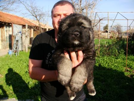 Прикачена снимка