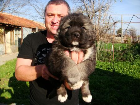 Прикачена снимка