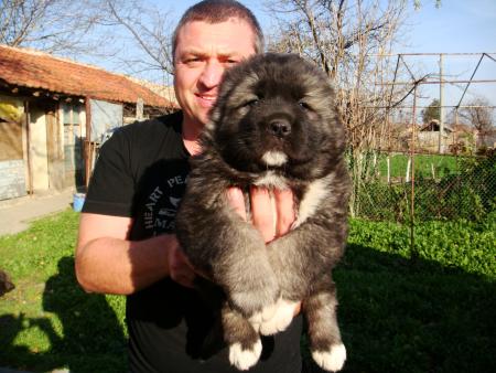 Прикачена снимка