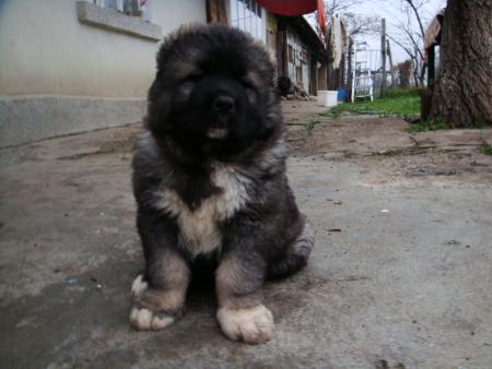 Прикачена снимка