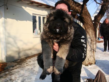 Прикачена снимка