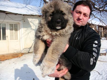 Прикачена снимка