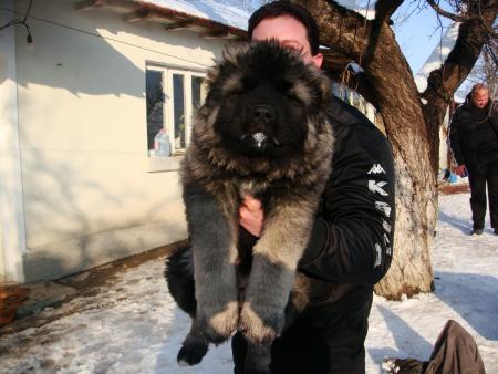 Прикачена снимка