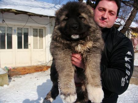 Прикачена снимка