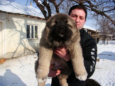 Прикачена снимка