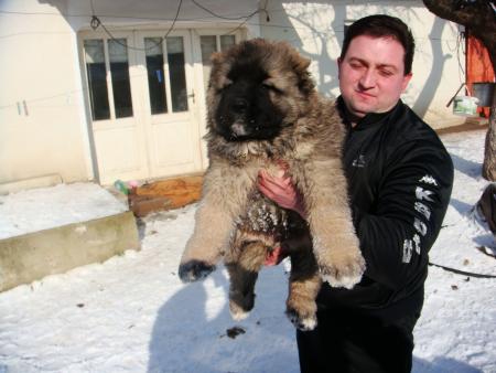 Прикачена снимка
