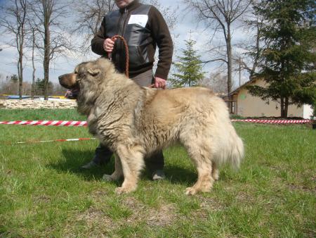 Прикачена снимка