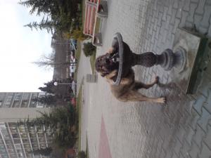 Прикачена снимка