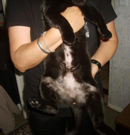 Прикачена снимка