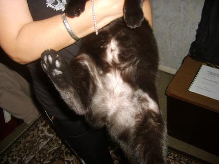 Прикачена снимка