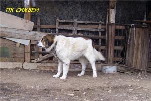 Прикачена снимка