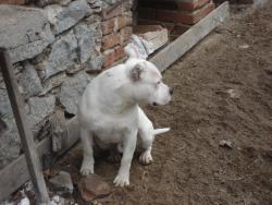 Прикачена снимка