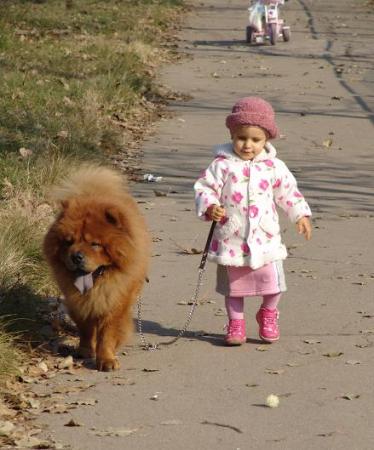 Прикачена снимка