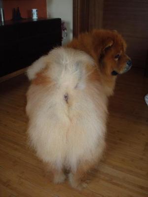 Прикачена снимка