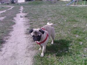 Прикачена снимка