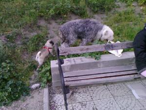 Прикачена снимка