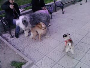 Прикачена снимка