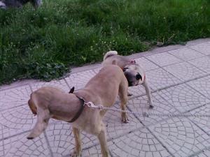Прикачена снимка