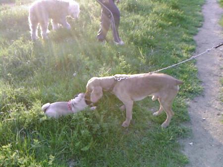 Прикачена снимка