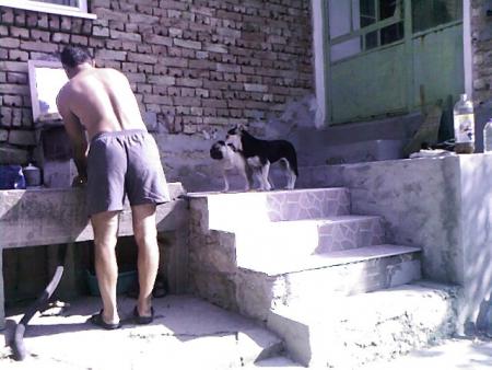 Прикачена снимка
