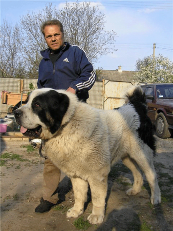 Прикачена снимка