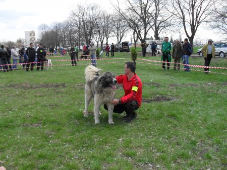 Прикачена снимка
